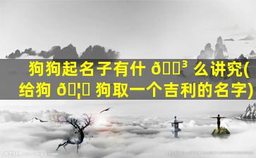 狗狗起名子有什 🌳 么讲究(给狗 🦁 狗取一个吉利的名字)